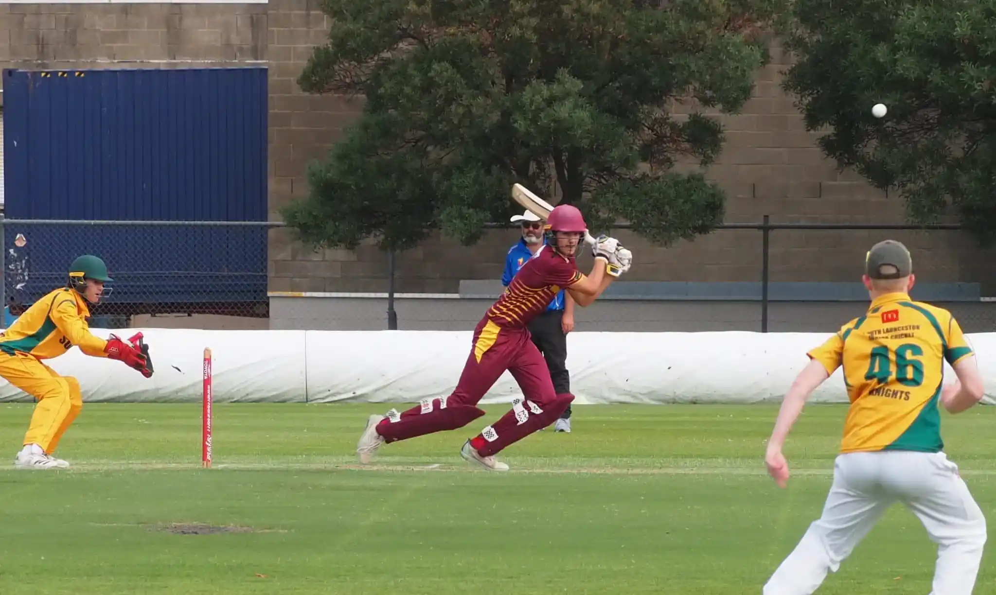 playing cricket juniors 11