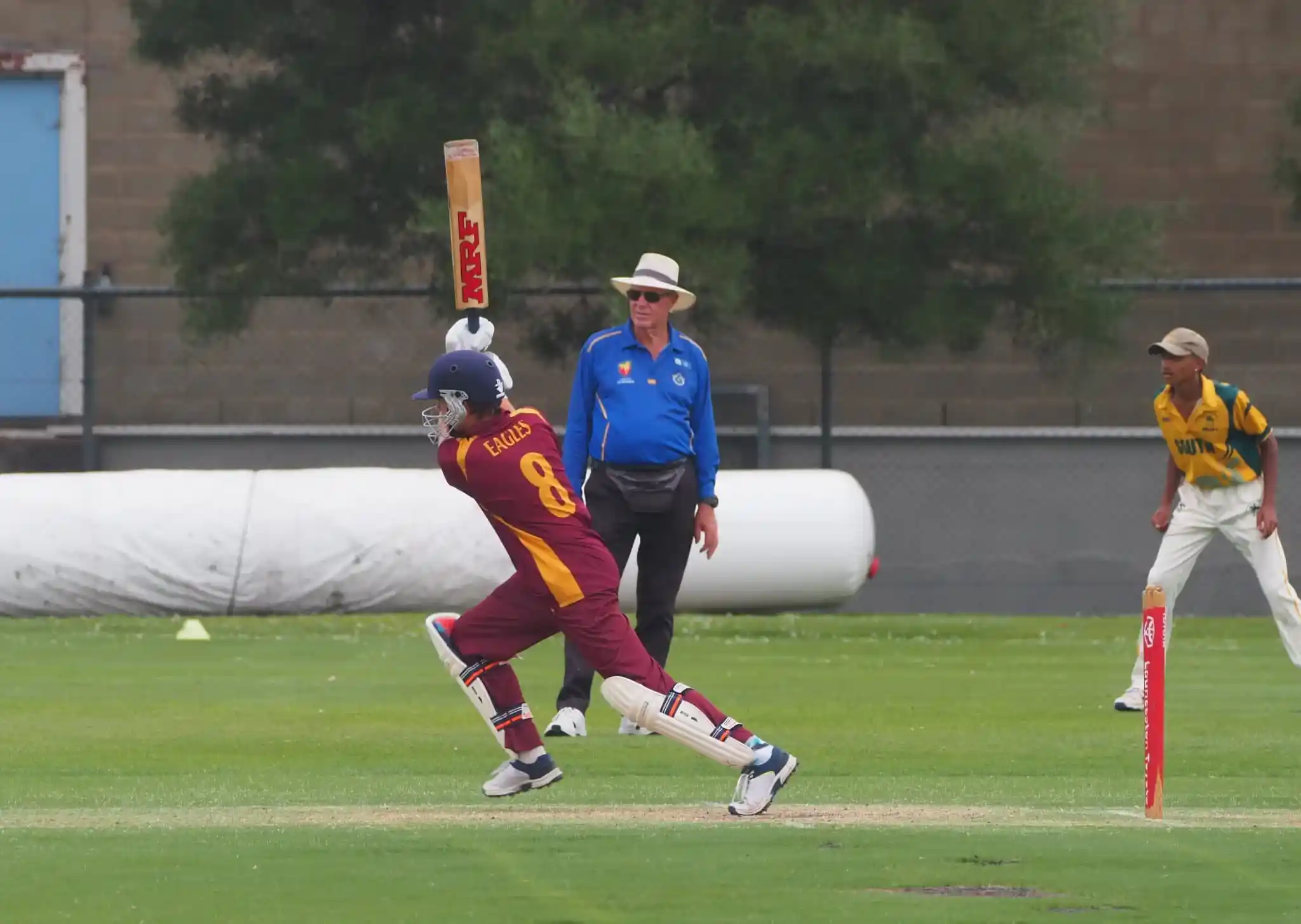 playing cricket juniors 7