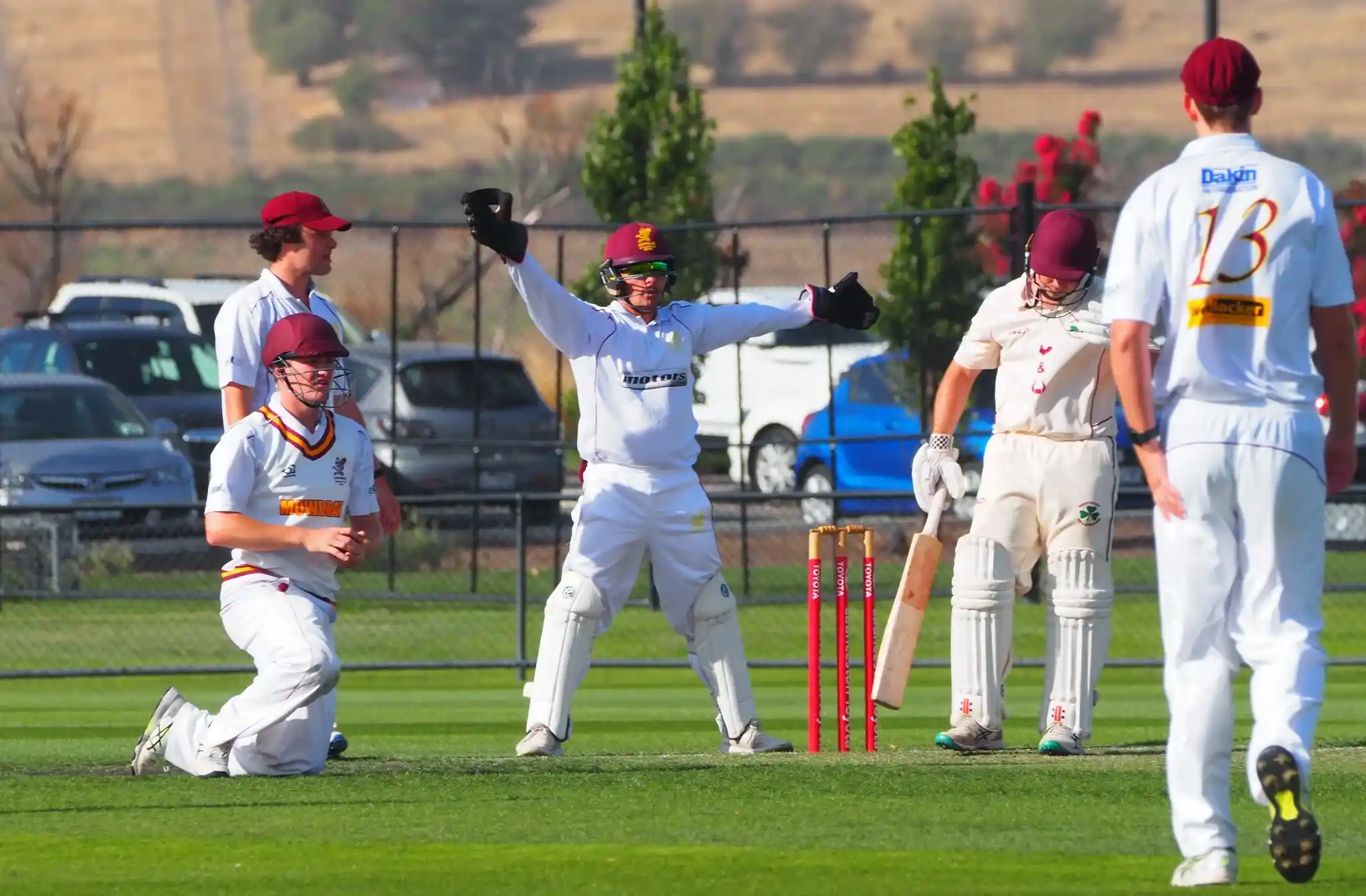 Cricket players celebrating a wicket
