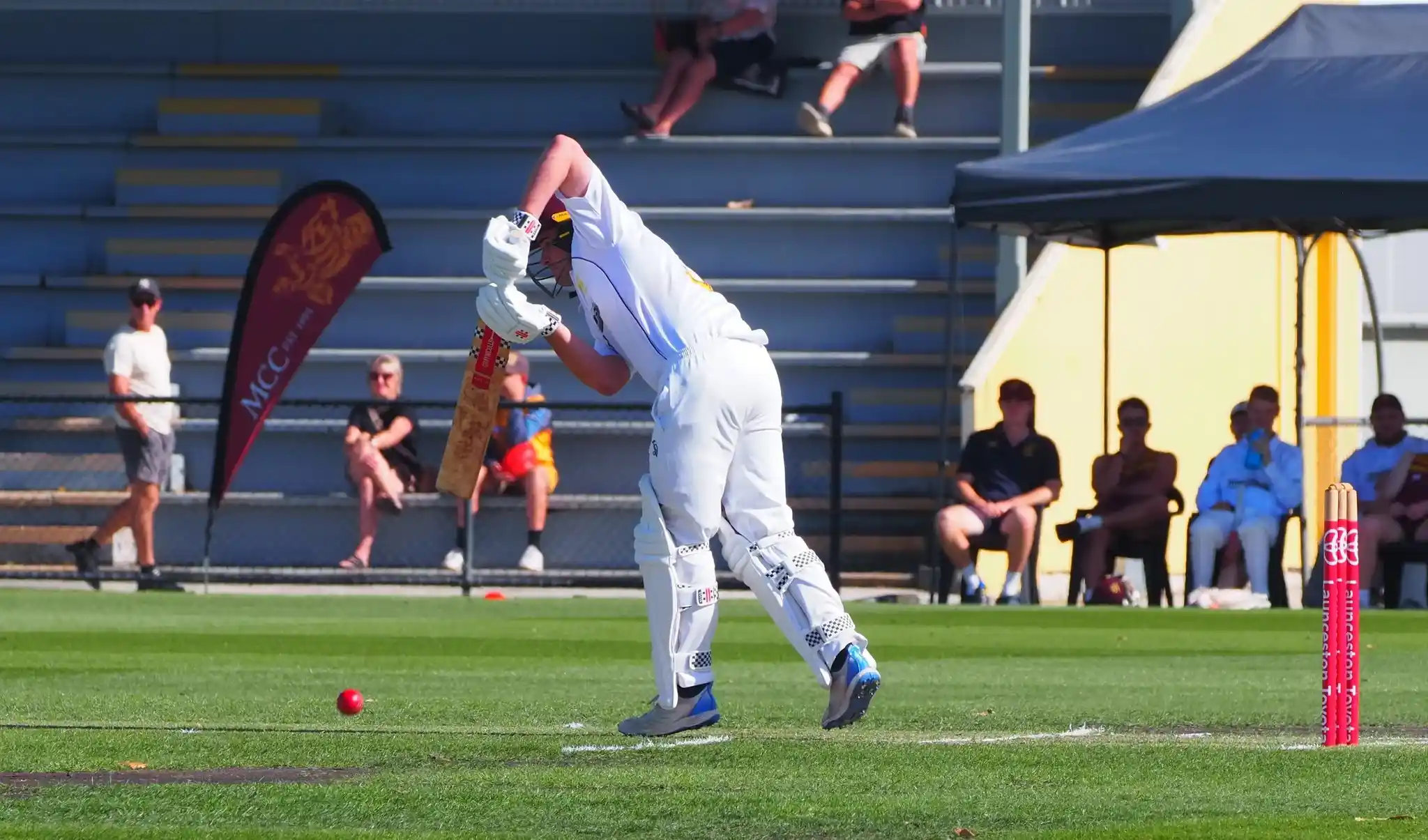 playing cricket mens 17