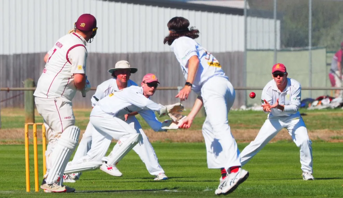 Cricket players engaged in a match