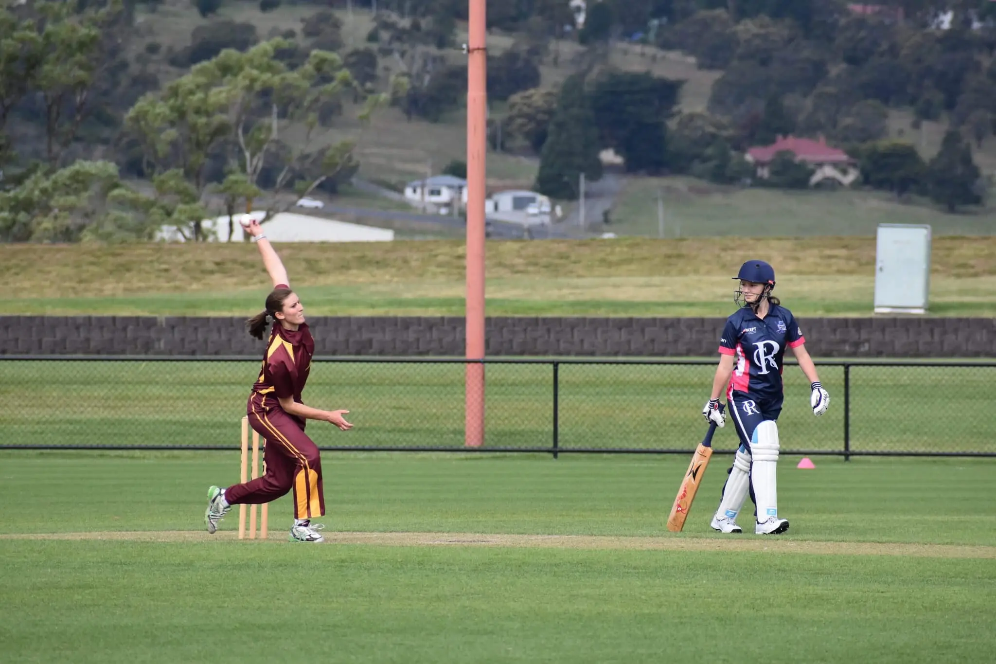 Cricket match in progress with players